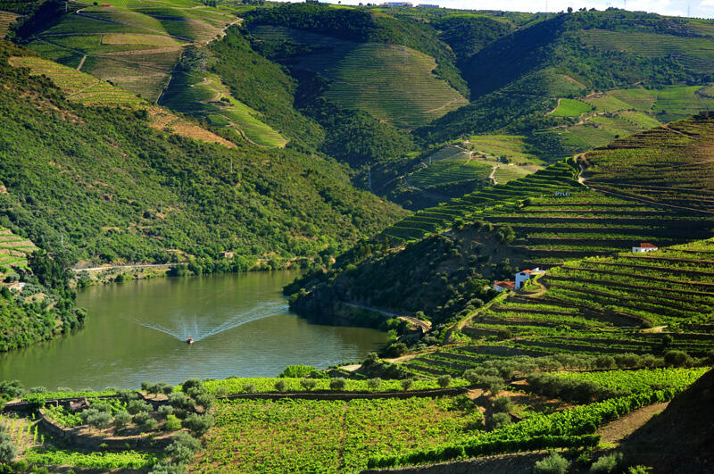 Douro
